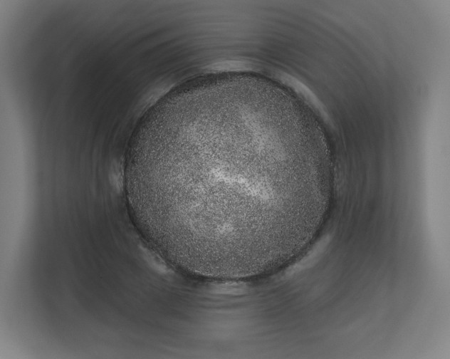 X0000110880833200906251247