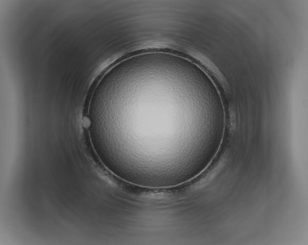 X0000110880834200906251247