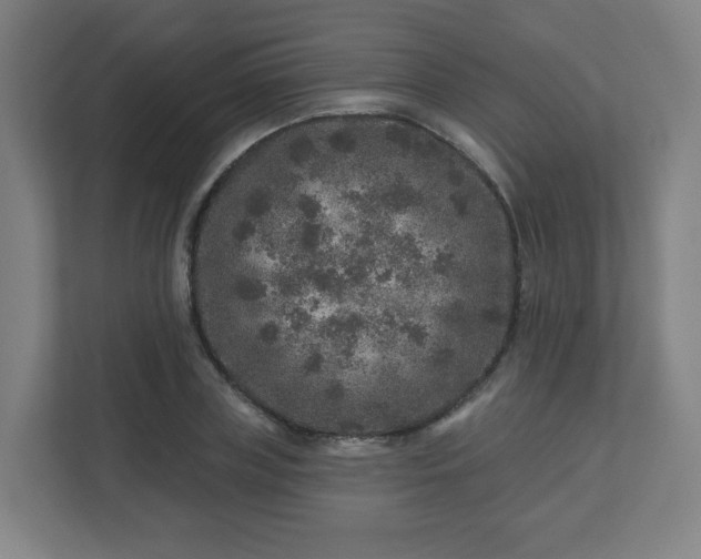 X0000110880835200906251247