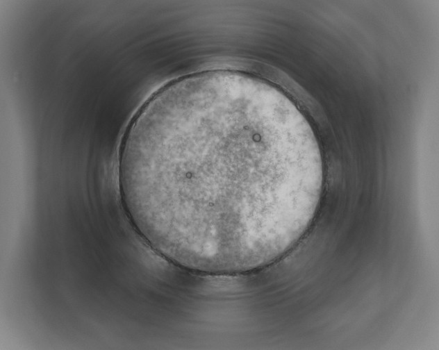 X0000110880836200906251247
