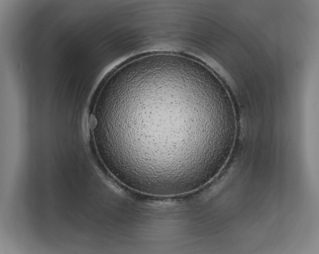 X0000110880838200906251247