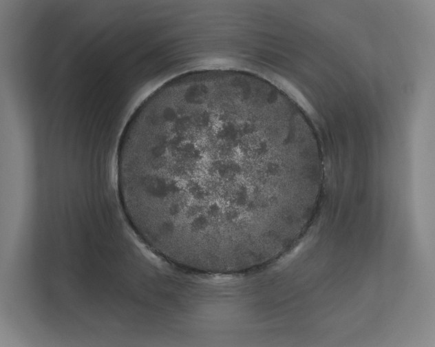 X0000110880839200906251247