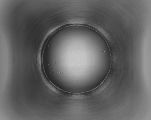 X0000110880840200906251247