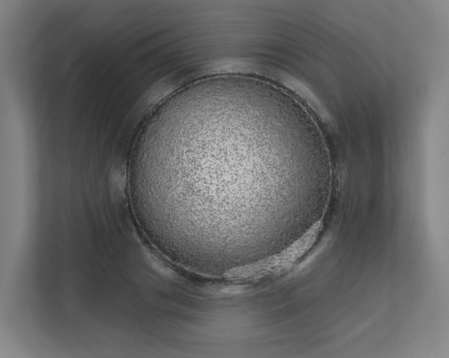 X0000110880841200906251247