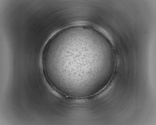 X0000110880843200906251247