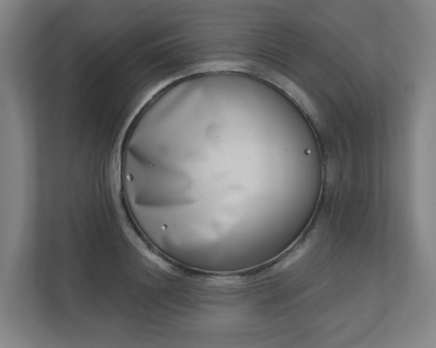 X0000110880844200906251247