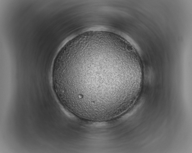 X0000110880845200906251247