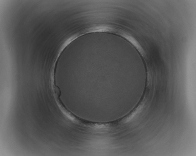X0000110880850200906251247