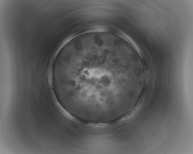 X0000110880851200906251247