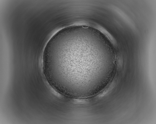 X0000110880852200906251247
