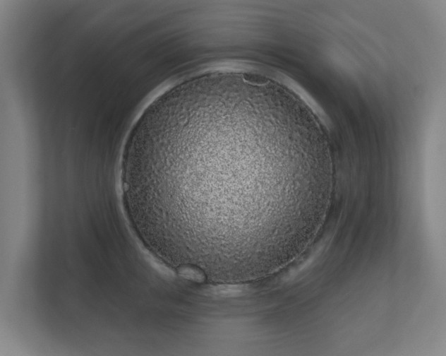 X0000110880853200906251247