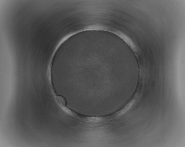 X0000110880854200906251247
