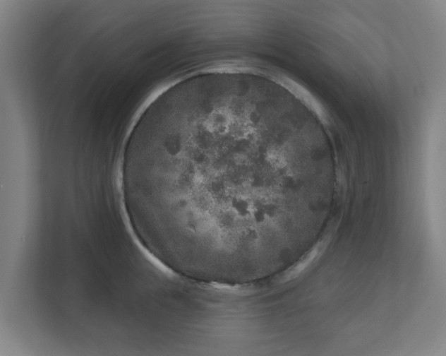 X0000110880855200906251247
