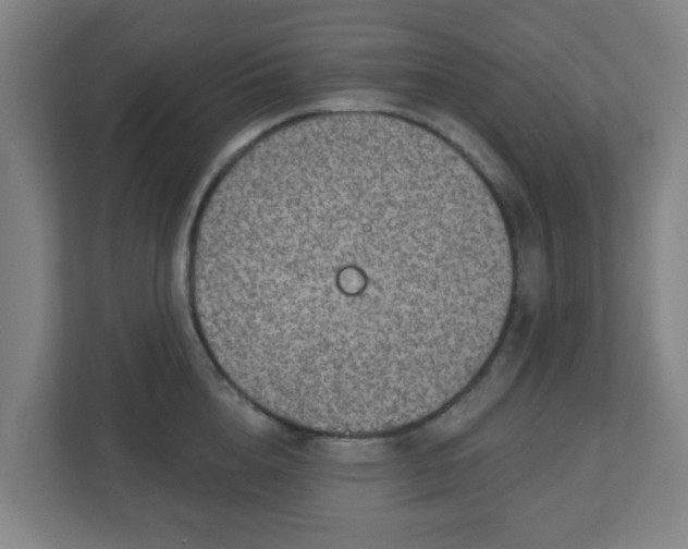 X0000110880856200906251247