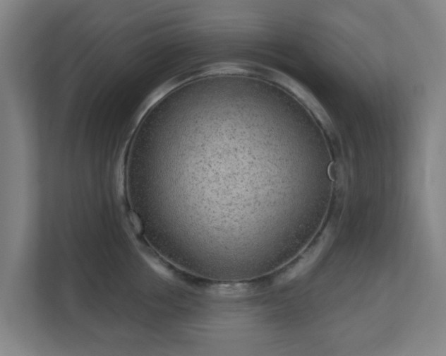 X0000110880858200906251247