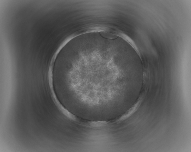 X0000110880859200906251247