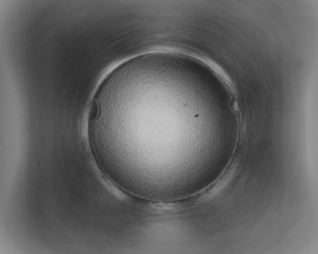X0000110880862200906251247