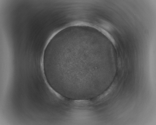 X0000110880863200906251247