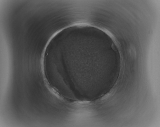 X0000110880864200906251247