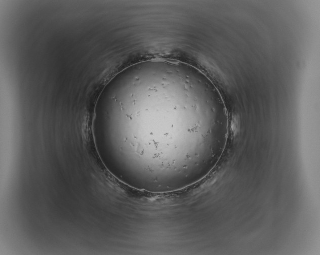 X0000110880867200906251247