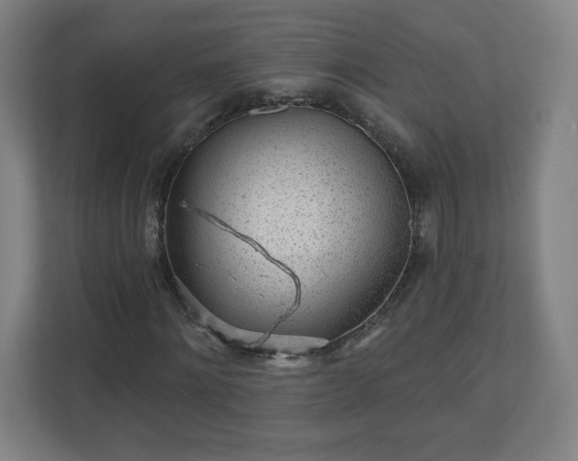 X0000110880868200906251247
