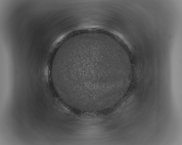 X0000110880871200906251247