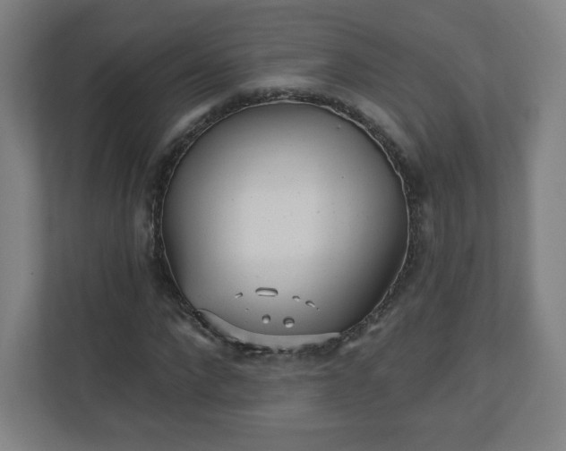 X0000110880872200906251247