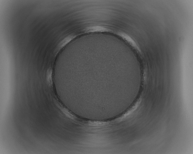 X0000110880873200906251247
