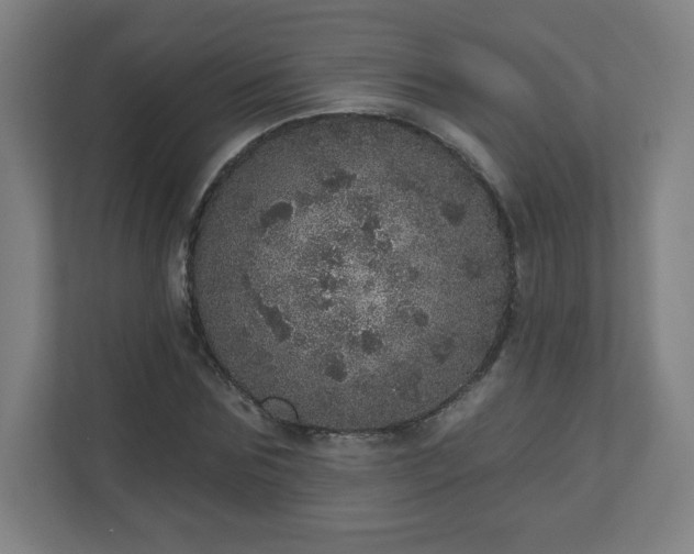 X0000110880875200906251246