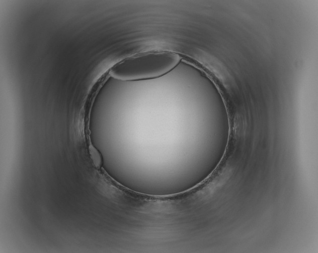 X0000110880877200906251246