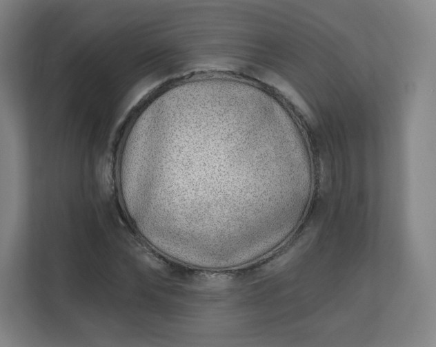 X0000110880878200906251246