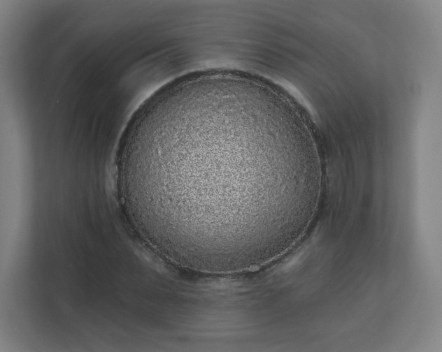X0000110880879200906251246