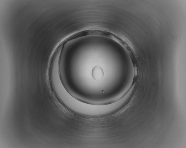 X0000110880880200906251246