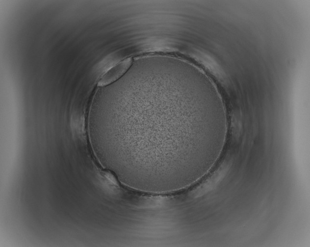 X0000110880881200906251246