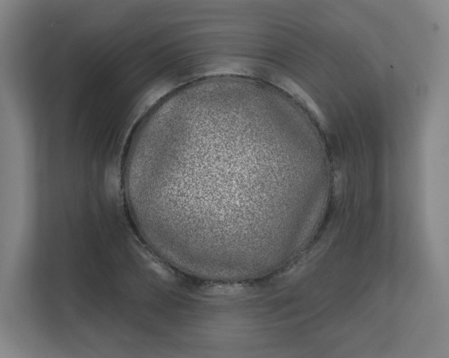 X0000110880882200906251246