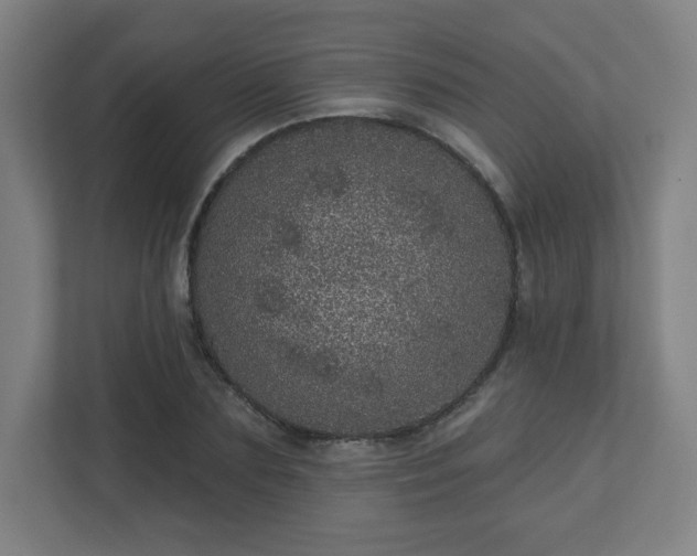X0000110880883200906251246