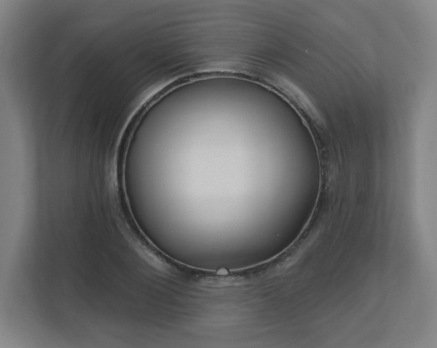 X0000110880884200906251246