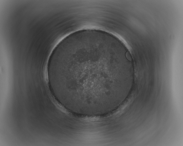 X0000110880887200906251246
