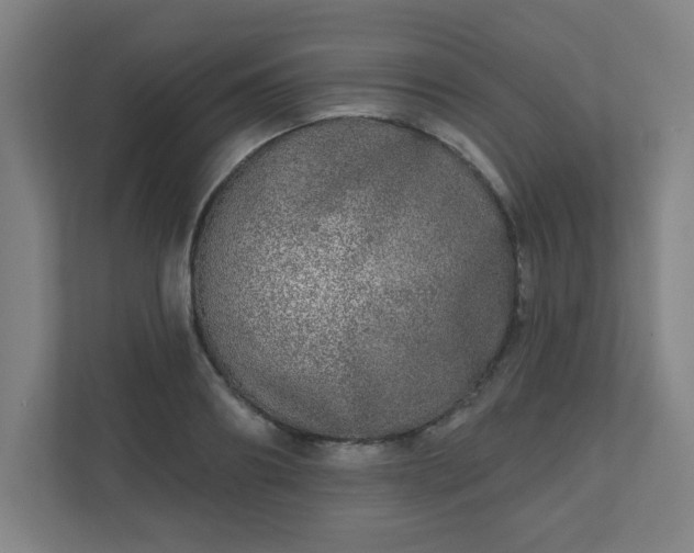X0000110880890200906251246