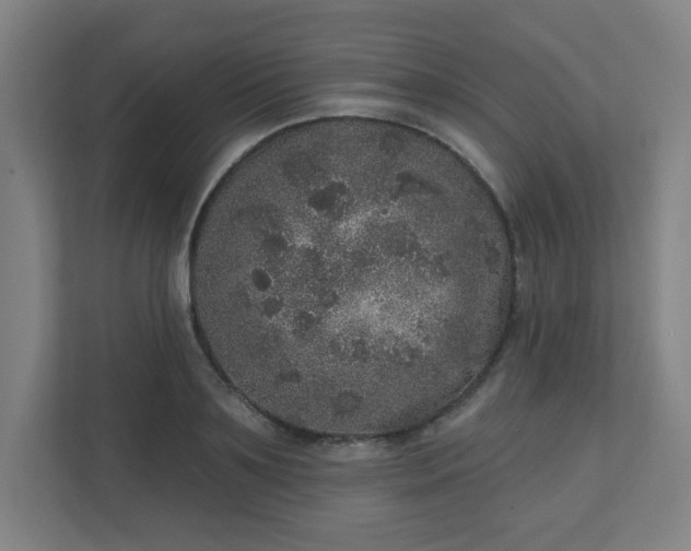 X0000110880891200906251246