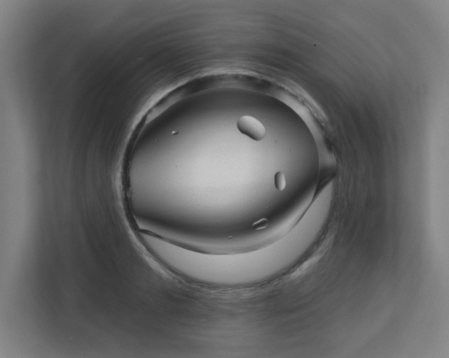 X0000110880893200906251246