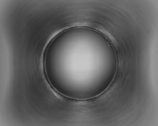 X0000110880894200906251246