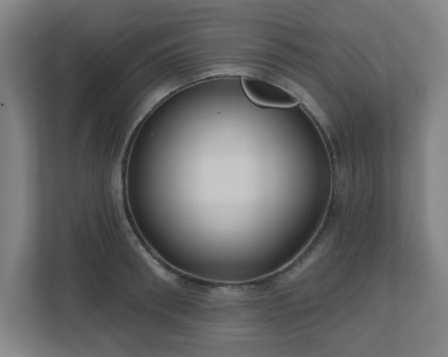 X0000110880898200906251246