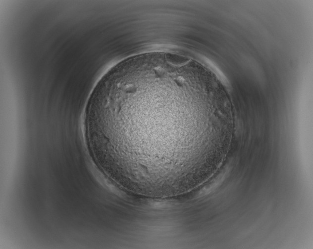X0000110880899200906251246