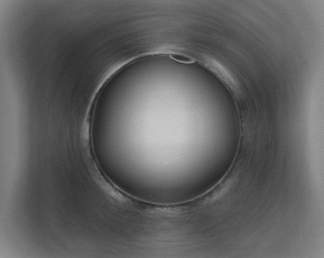 X0000110880900200906251246