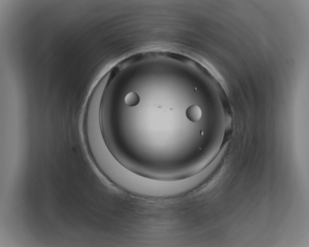 X0000110880901200906251246