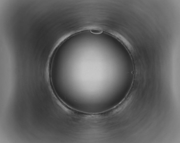 X0000110880902200906251246