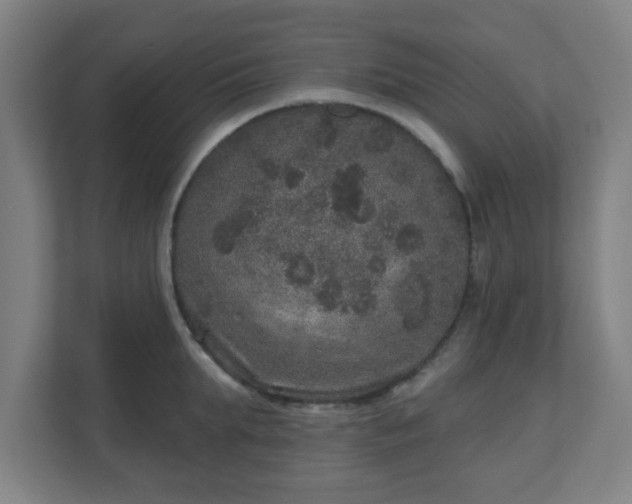 X0000110880903200906251246