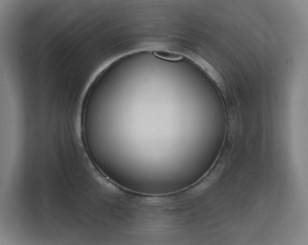 X0000110880904200906251246