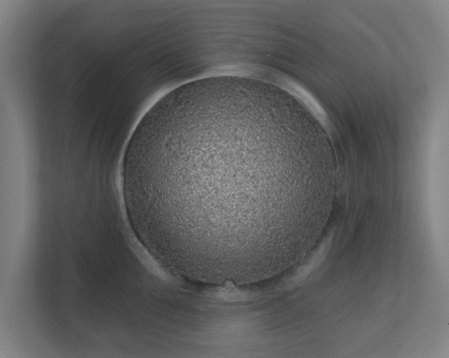 X0000110880907200906251246